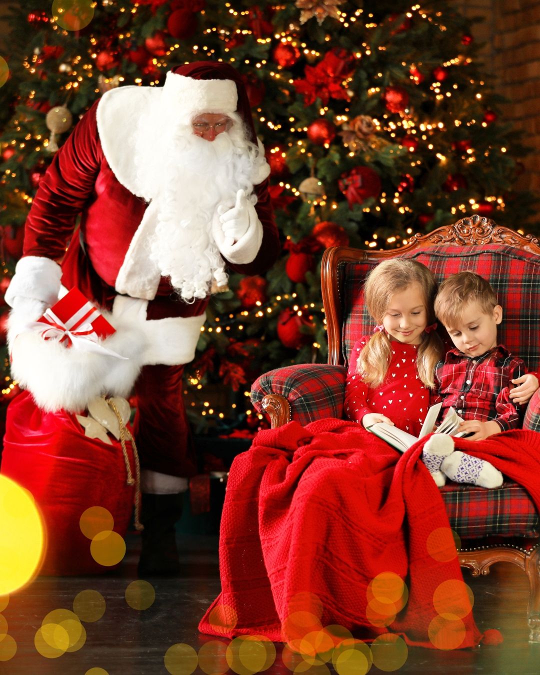 Santa Visit Experience 6